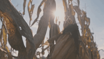 neat the story of bourbon GIF by The Orchard Films