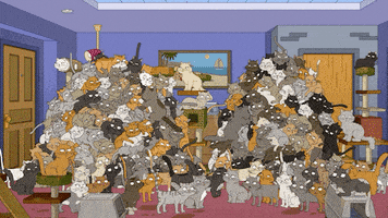 Fox Tv Wtf GIF by Family Guy