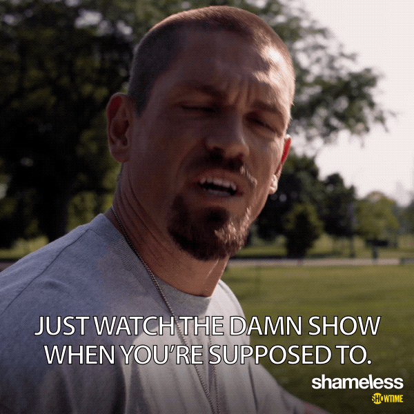 episode 1 showtime GIF by Shameless