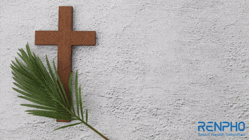 Holy Week Fitness GIF by RENPHO