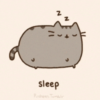 Sleepy Cat GIF by Pusheen