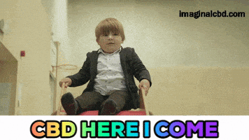 Its Friday GIF by Imaginal Biotech