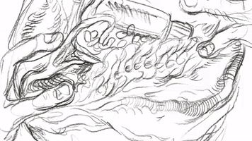 alex boya animation studio GIF by Alex Boya