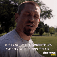 episode 1 showtime GIF by Shameless