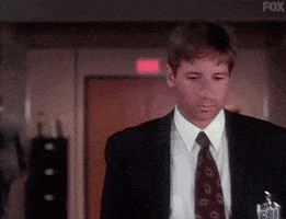 x files GIF by The X-Files