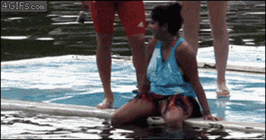 dolphin humping GIF dolphin humping GIF