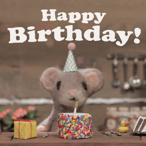 Happy Birthday GIF by Mouse