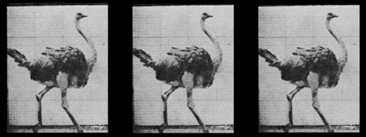 black and white animation GIF by weinventyou