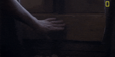 Episode 1 GIF by National Geographic Channel