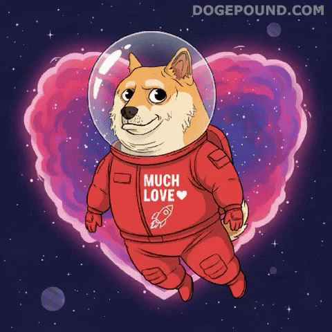 Happy I Love You GIF by Doge Pound