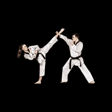 Workout Fighting GIF