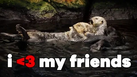 Best Friends Fun GIF