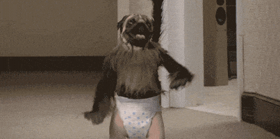 super bowl 2016 dancing GIF by Mountain Dew