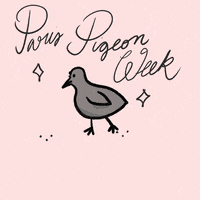 Fashion Week Drawing GIF by cynomys