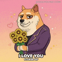 I Love You Hearts GIF by Doge Pound