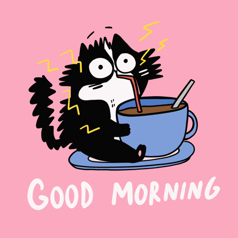 gif-Good Morning Cat GIF by Franziska Höllbacher