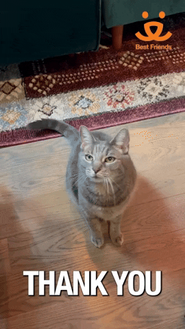 gif-Best Friends Thank You GIF by Best Friends Animal Society