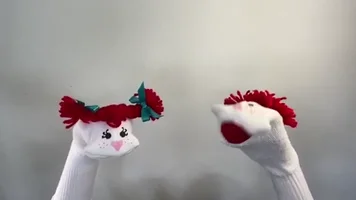 Sock Puppet
