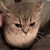 kittiru Instagram