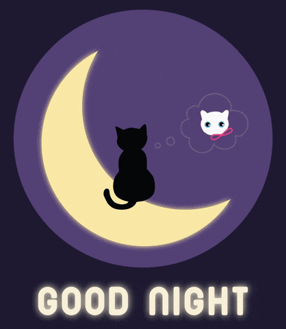 Miss U Good Night GIF by Babybluecat by babybluecat