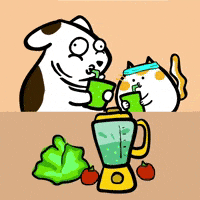 Blender Juicing GIF by Poku Meow Meow Meow