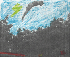 Sound And Vision Swimming GIF by Beeld en Geluid