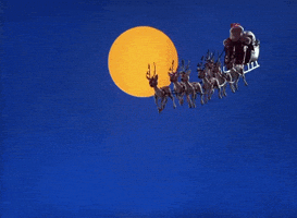 Santa Claus Christmas GIF by filmeditor