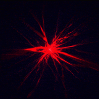 gif artist glow GIF by Erica Anderson