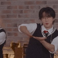 Stray Kids Skz GIF