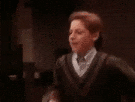 homeward bound office dogs GIF