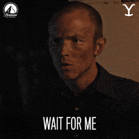 Paramount Network Dont Go GIF by Yellowstone
