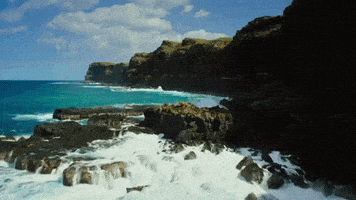 Surfing Hawaii GIF by 50statesproject