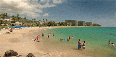 hawaii GIF