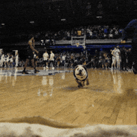 Happy Butler Basketball GIF by Butler University