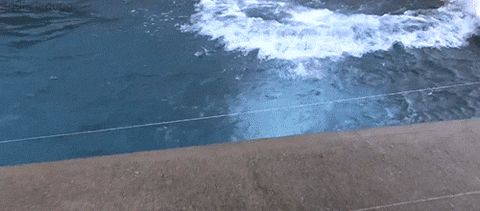 Giphy - Reaction Omg GIF by MOODMAN