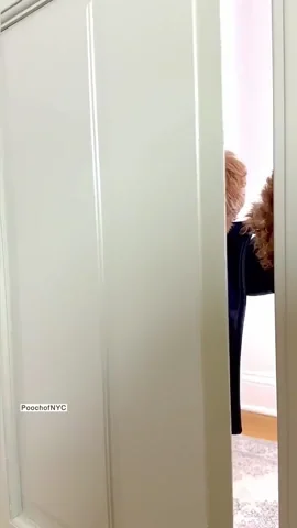 Happy Birthday Party GIF