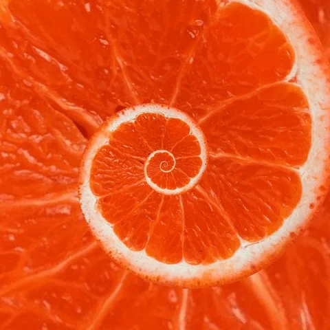 refreshing summer time GIF by Feliks Tomasz Konczakowski