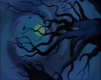 Full Moon Night GIF by filmeditor
