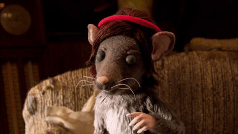 season 3 what GIF by Portlandia