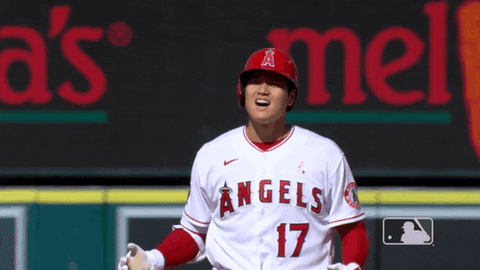 Celebrate Lets Go GIF by MLB