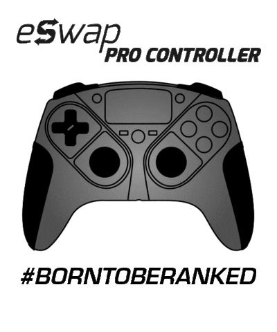 Thrustmaster  Sticker