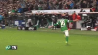 Werder Bremen Soccer GIF