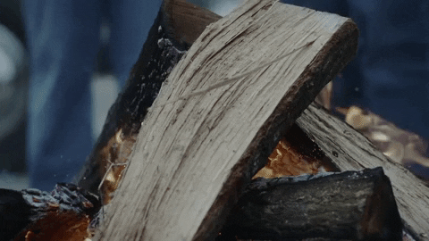 sonnysbbq  GIF