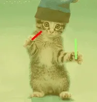 Cat Dancing GIF