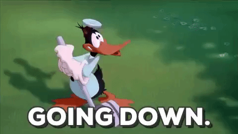 GIF by Space Jam