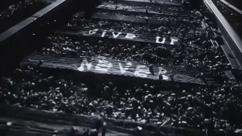 music video sia GIF by LION 