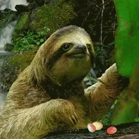 Slow Candy GIF by Trolli