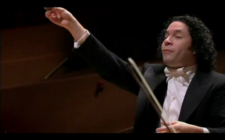 GIF by Giphy QA