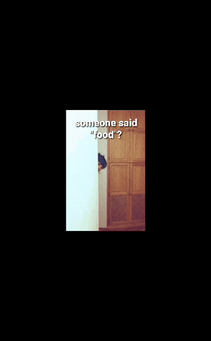 paendaofficial  GIF