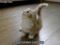 Overwhelmed Choices GIF